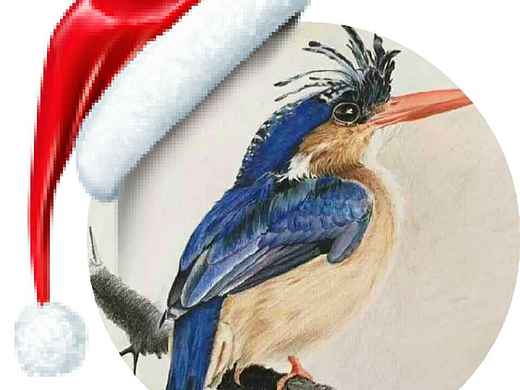 人生如戏,喜乐参半,健康永远第一