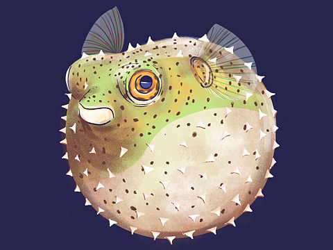 刺豚，水母，狮子鱼都是我家宝贝喜欢的海洋生物！（个人主页-ZNTk0NDEyNTI=） - 儿童插画 - 站酷设计师武花果原创素材 - 站酷ZCOOL