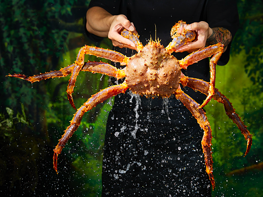 一家开在森林里的日料