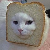 眼缘i的头像