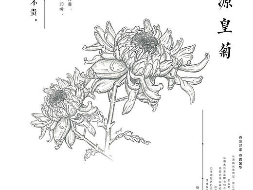 海报（个人主页-ZMjQ2NDkxMzI=） - 海报 - 站酷设计师皮蛋solo粥eee原创素材 - 站酷ZCOOL