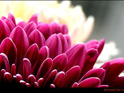 兔年初三（个人主页-ZNTU0NDUy） - 风光摄影 - 站酷设计师retsam原创素材 - 站酷ZCOOL