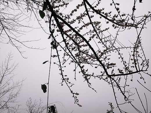 花开当时（个人主页-ZMjYxNDAwODA=） - 产品摄影 - 站酷设计师珍丫头原创素材 - 站酷ZCOOL