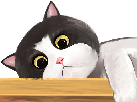 微信表情包-肥猫呆萌2