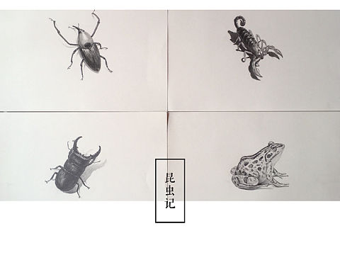 昆虫记