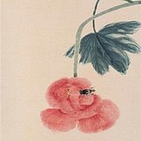 李老宁的头像