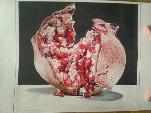 写实画《石榴》