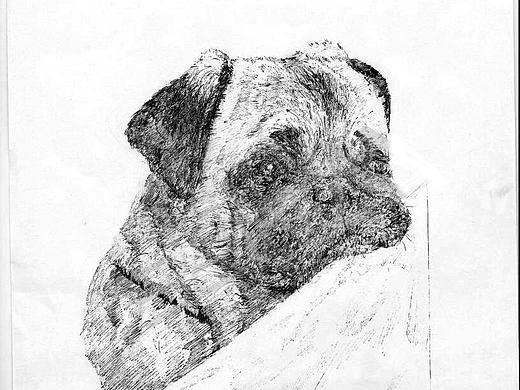 練习（个人主页-ZMjU2MTkzNDQ=） - 创作习作 - 站酷设计师AJINHSOUTH原创素材 - 站酷ZCOOL