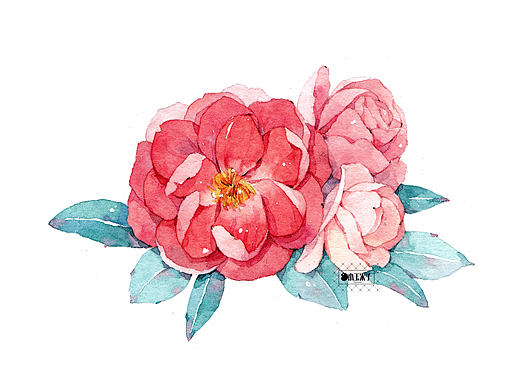 画画胶带
