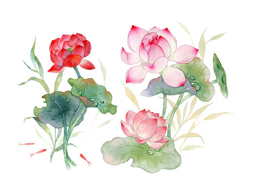 水彩花卉