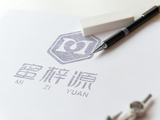 标志提案