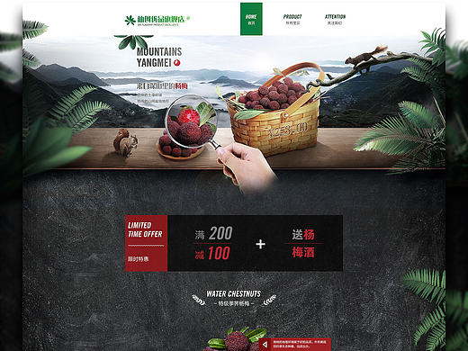 杨梅——（个人主页-ZMTY0Nzk5ODg=） - 电商 - 站酷设计师MrLmh原创素材 - 站酷ZCOOL