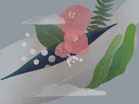 偶尔插画练习