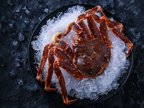 海鲜大餐（个人主页-ZNDAyODY4MjA=） - 产品摄影 - 站酷设计师摄影师弗兰克原创素材 - 站酷ZCOOL