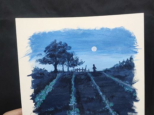 夜晚的太阳