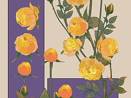 花卉