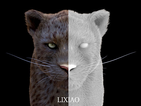 老虎（個人主頁-ZMzQxMzI0Njg=） - 人物/生物 - 站酷設計師lxzm原創(chuàng)素材 - 站酷ZCOOL