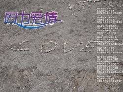 lenme 个人学习 字体设计-因为爱情