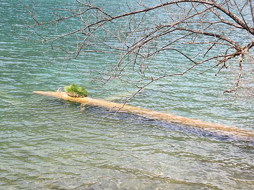 九寨之旅（一）（個人主頁-ZMTU2MjkyNjg=） - 風(fēng)光攝影 - 站酷設(shè)計師Yinlizk原創(chuàng)素材 - 站酷ZCOOL