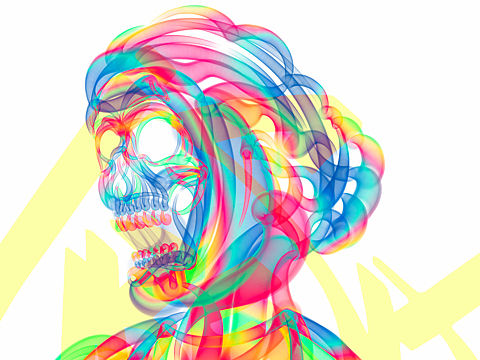 骷髅 头骨 色彩