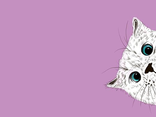 猫咪