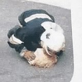 一七谷底的头像