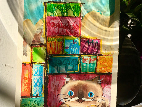 猫咪小布丁——时空隧道