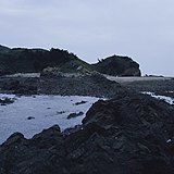 刘室长的头像