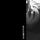 瞎猫抓不到老鼠的头像