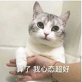 陈面面Mia的头像