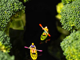 🥦🥦西兰花