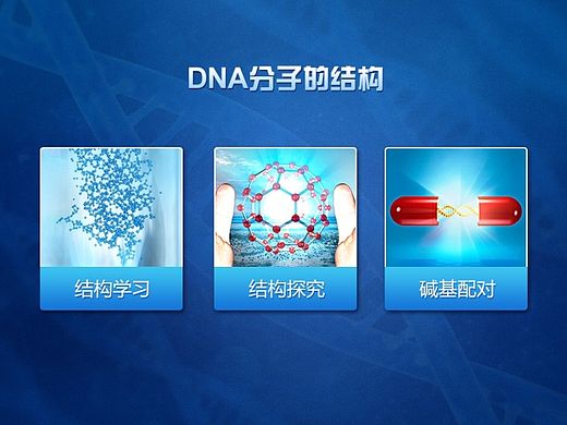 生物DNA虚拟仿真系统