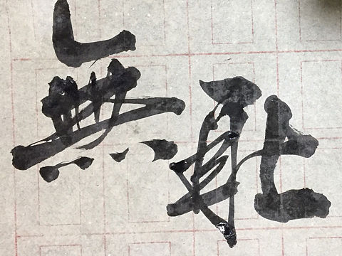 今日随笔摘录练习作品