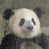 嘎嘎北的头像
