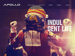 2016企業(yè)站集