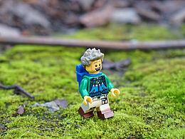 <b class='hightlight'>积木</b>摄影