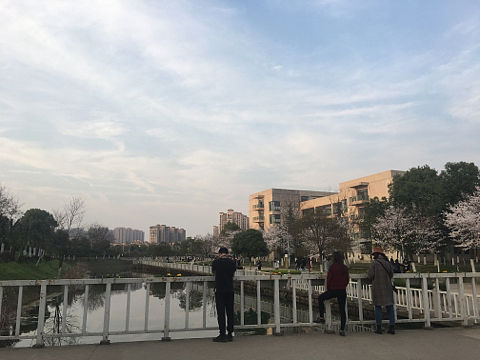 校园