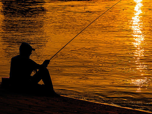 人文组-夕阳钓客-5群-凝固之眼