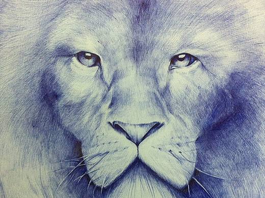 圆珠笔手绘 狮子