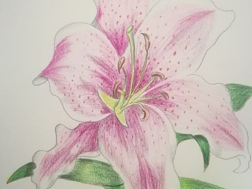近期作品😊