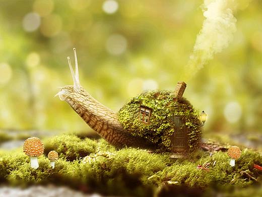 合成练习（个人主页-ZMzkxOTA2MDQ=） - 海报 - 站酷设计师占宽宽原创素材 - 站酷ZCOOL