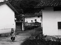 《孤独的自白》