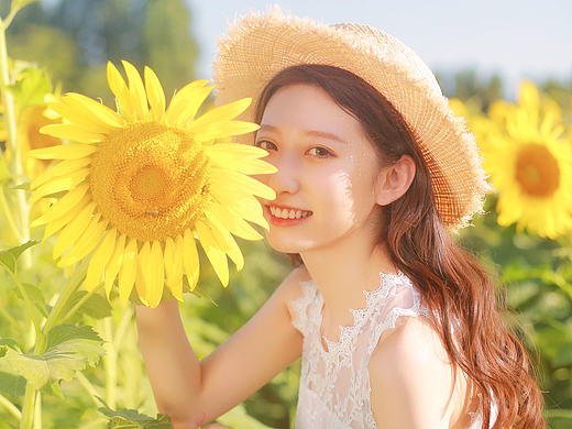 【向日葵的约定 】