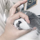 Akagi小居的头像