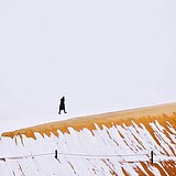 冰片山楂粥的头像