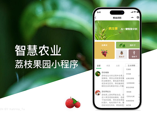 智慧农业荔枝果园