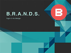 SEEVISUAL品牌设计合集—BRANDS.NO.1