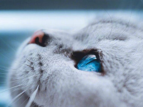 宝贝详情页（个人主页-ZNDQyNTc1OTY=） - 企业官网 - 站酷设计师燕公子85号原创素材 - 站酷ZCOOL