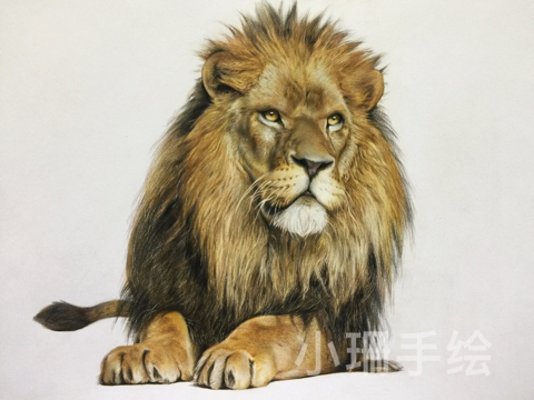 lion