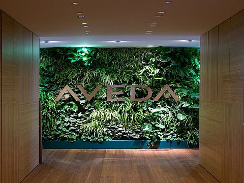 随意而安，因树成林